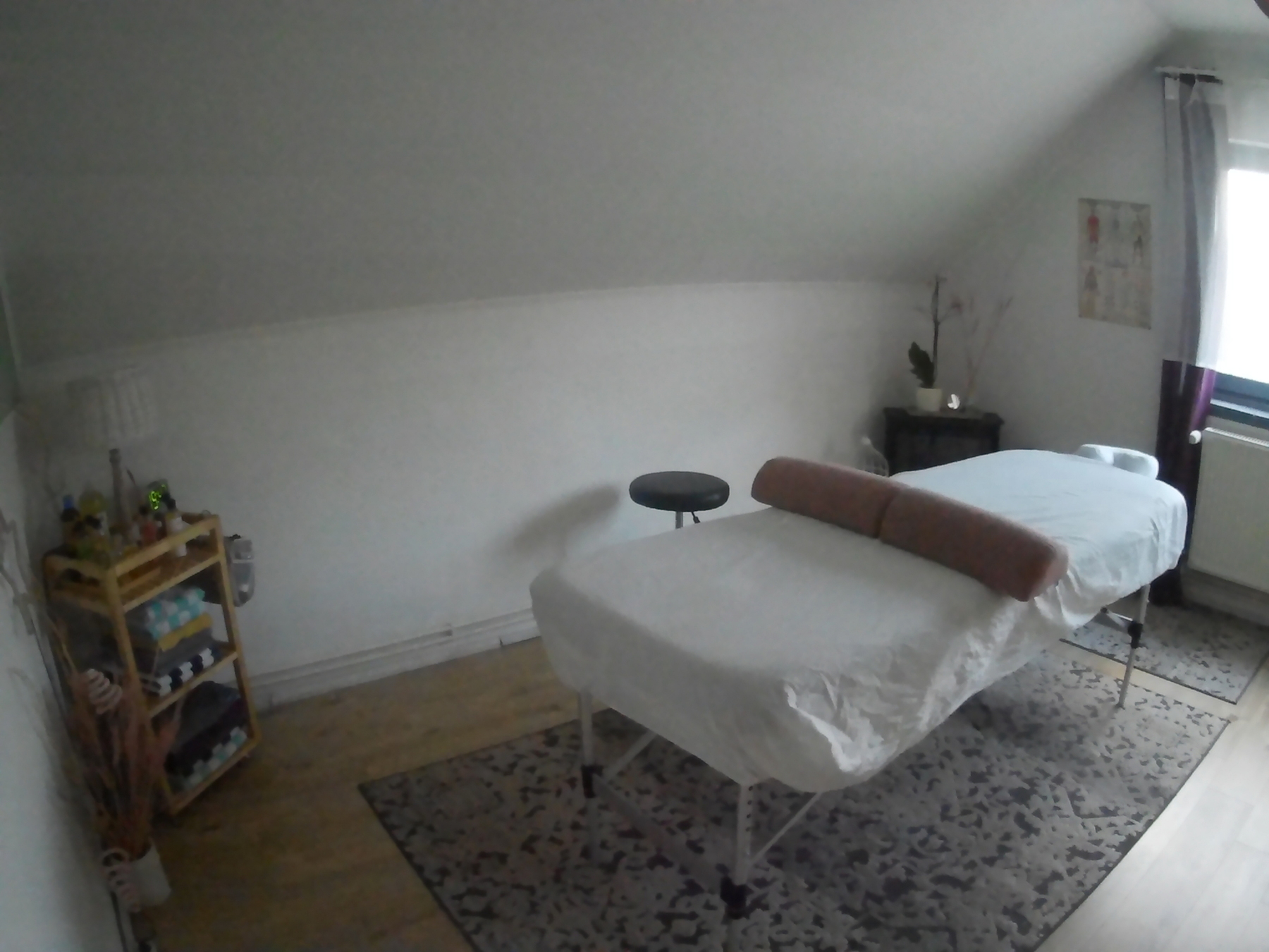 Studió masszázságy